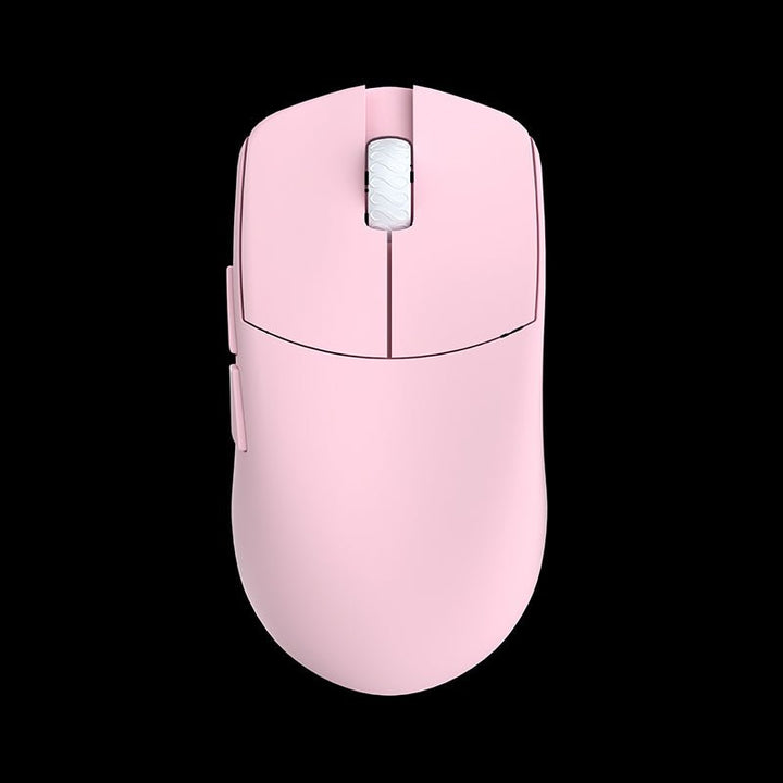 LAMZU MAYA [Champion Edition] - LAMZU