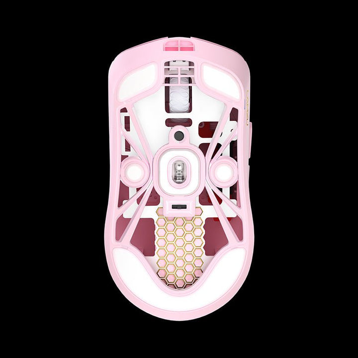 LAMZU MAYA [Champion Edition] - LAMZU