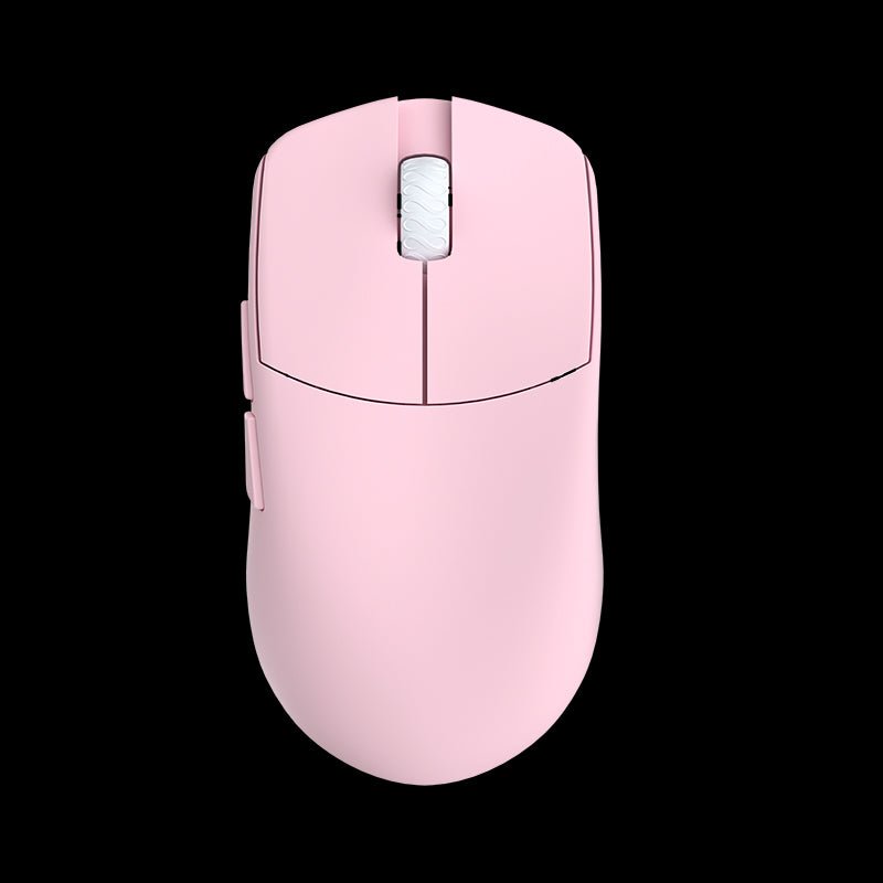 LAMZU MAYA [Champion Edition]